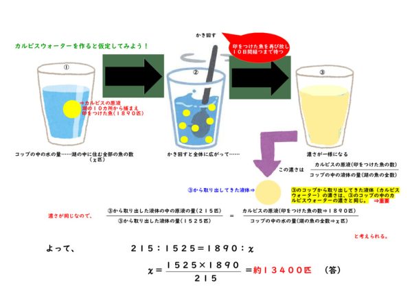 カルピスを作る時のことを想像してみよう！ 印をつけた魚を再び放しのサムネイル