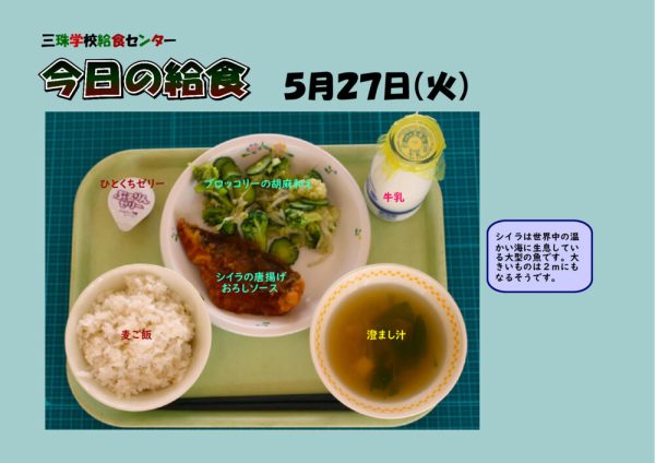 ５月２７日のサムネイル