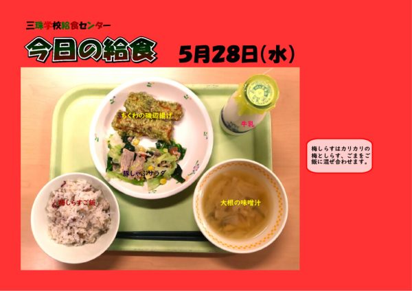 ５月２８日のサムネイル