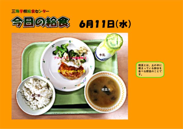 ６月１１日のサムネイル