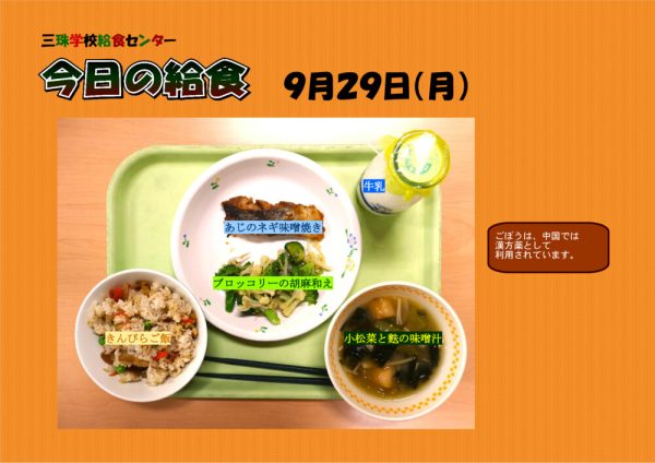 ９月２９日のサムネイル